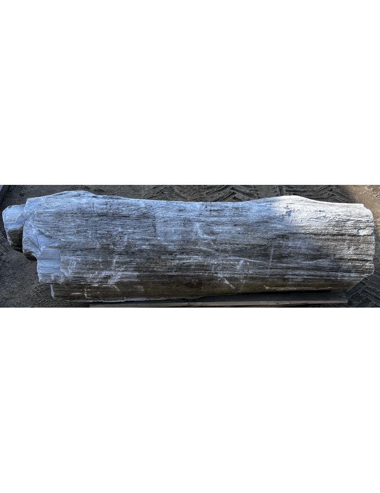 SKAMIENIAŁE DREWNO - DUŻY PIEŃ - 430 kg Bełchatów