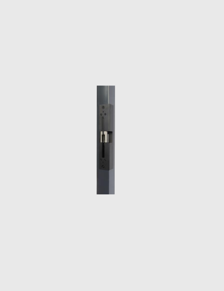 Elektrozamek LOCINOX INTRALEC