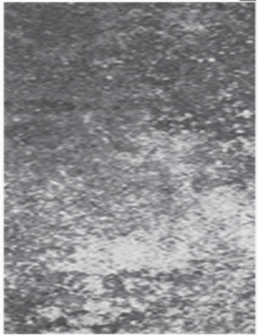 Daszek dwuspadowy Marago 24x30x5,5cm