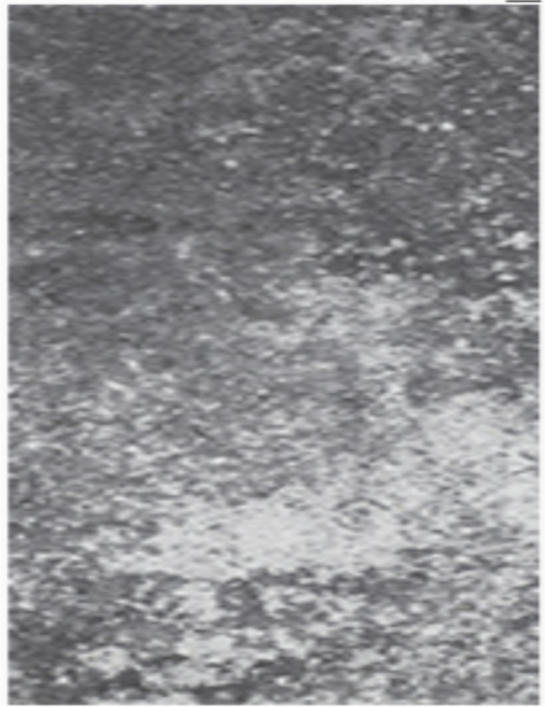Daszek dwuspadowy Marago 24x30x5,5cm